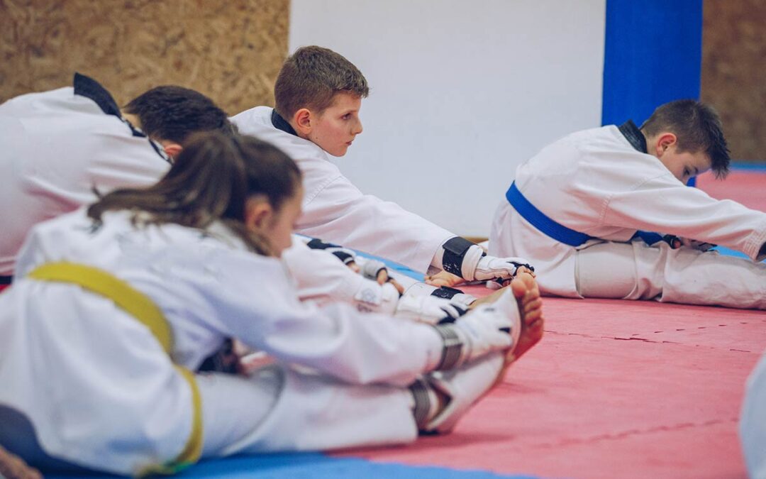 The Power of Kids Taekwondo Classes in Parksville: Building Foundations for Success