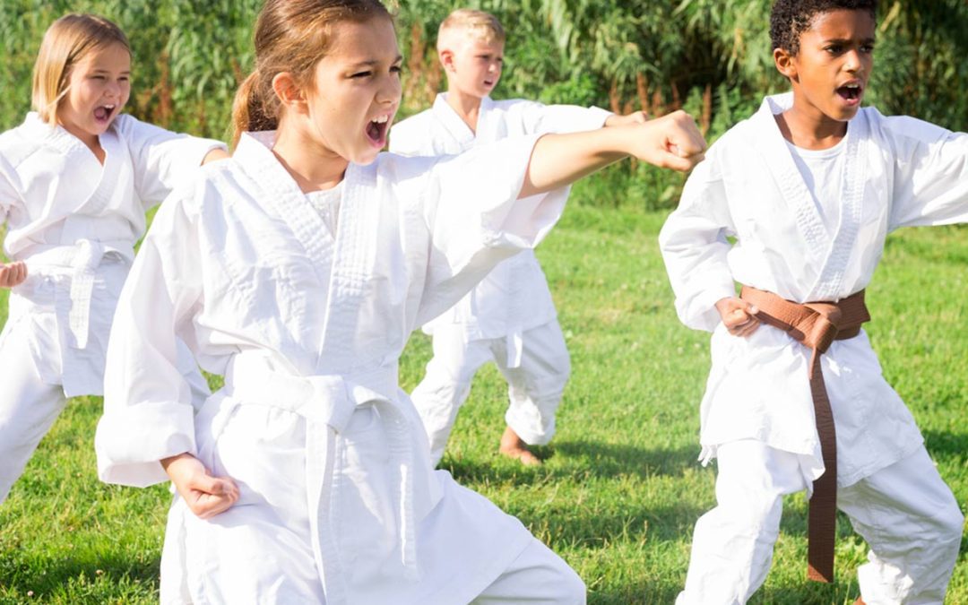 The Benefits of Kids Taekwondo in Parksville